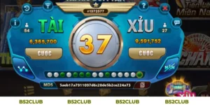 Cách Chơi Tài Xỉu Online