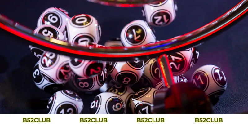 Bạch Thủ Lô Khung 3 Ngày